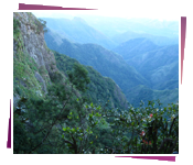 Green Valley 